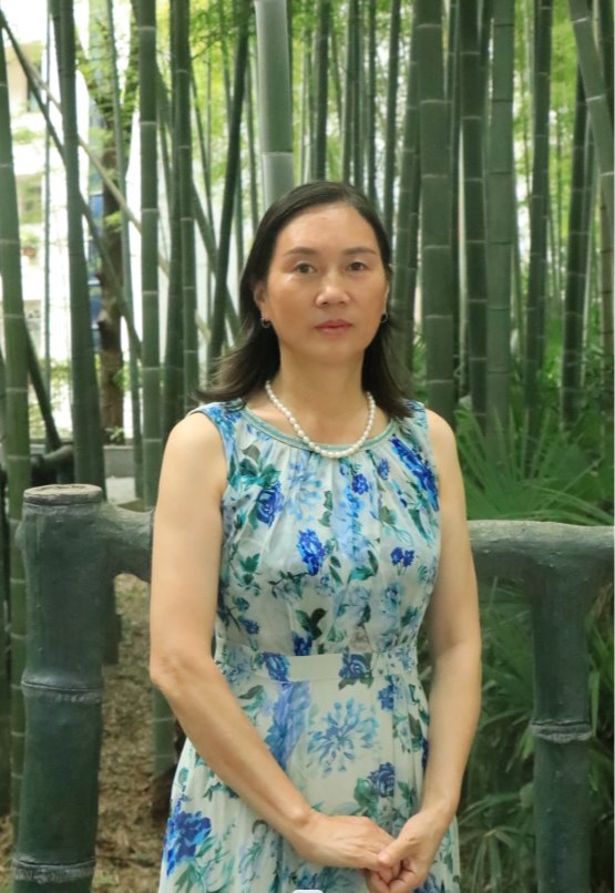 mk体育官网