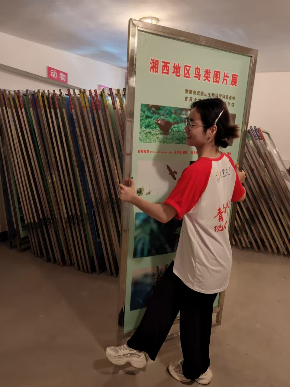 mk体育官网