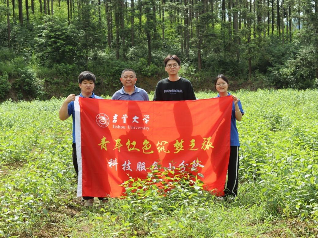 mk体育官网