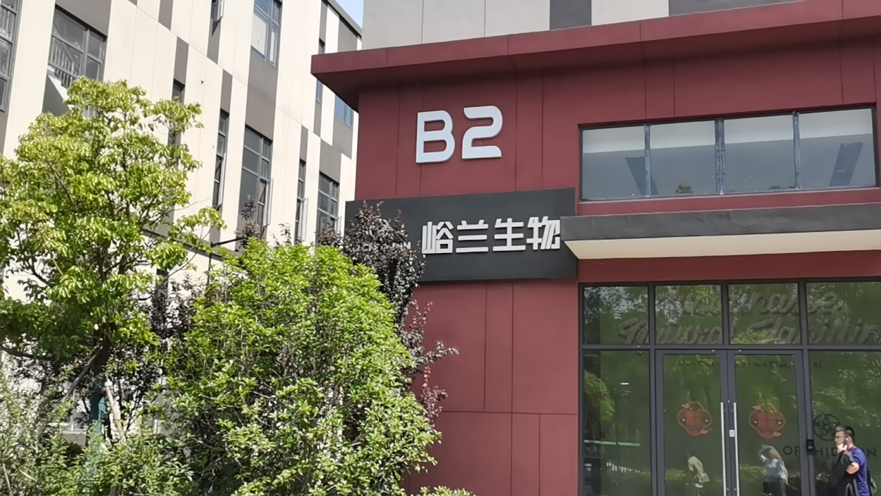 mk体育官网