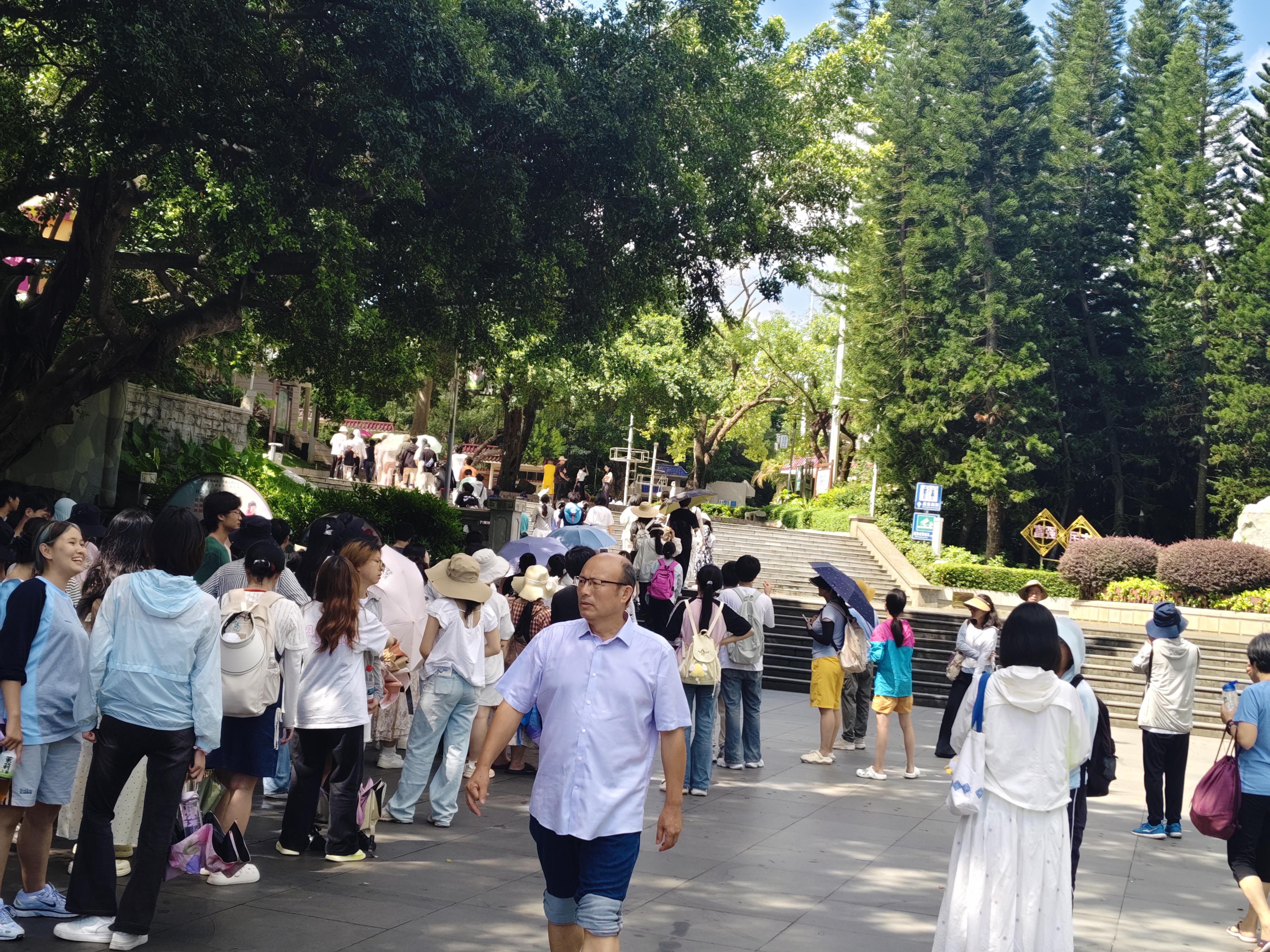 mk体育官网