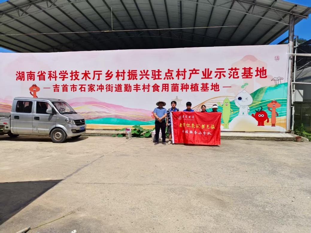 mk体育官网