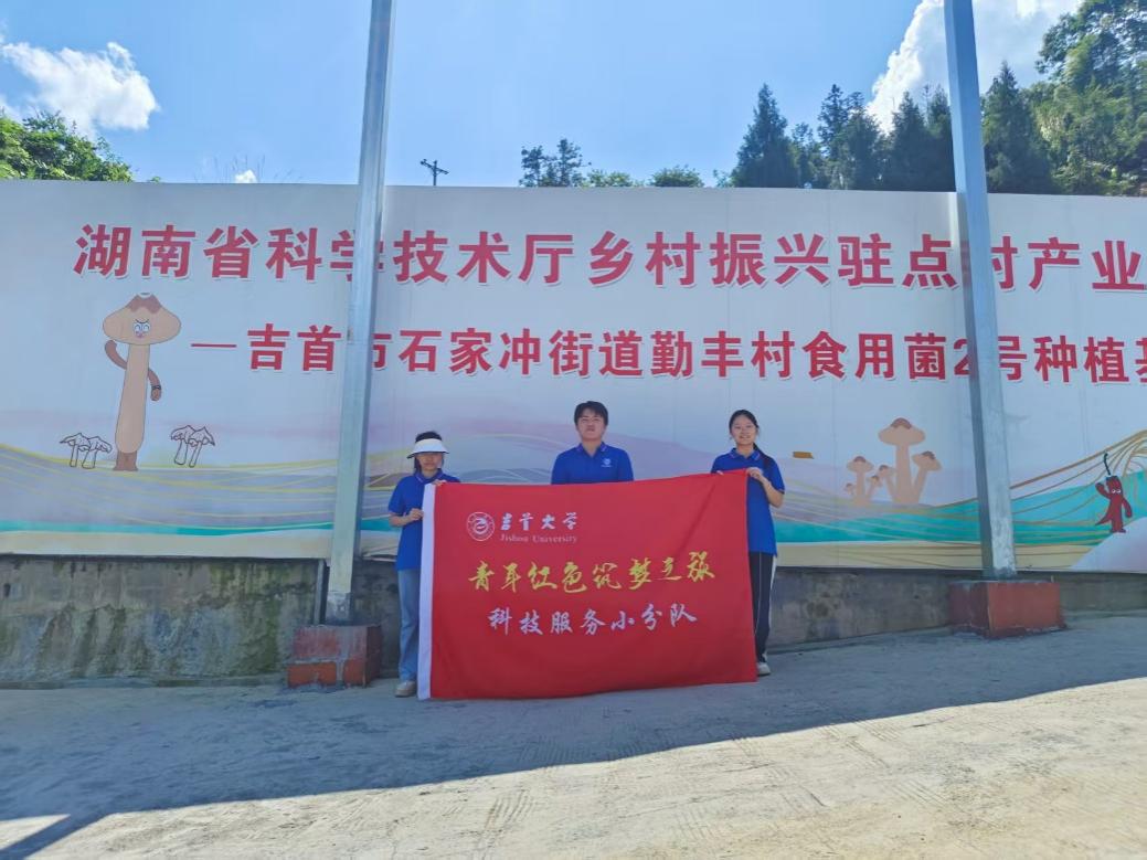 mk体育官网