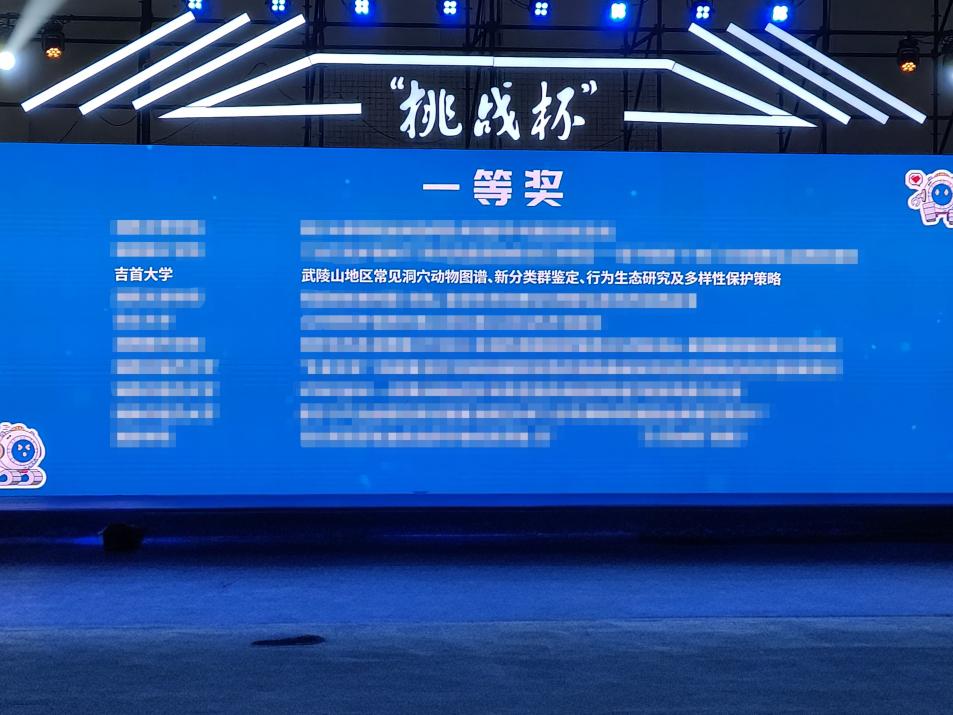 mk体育官网