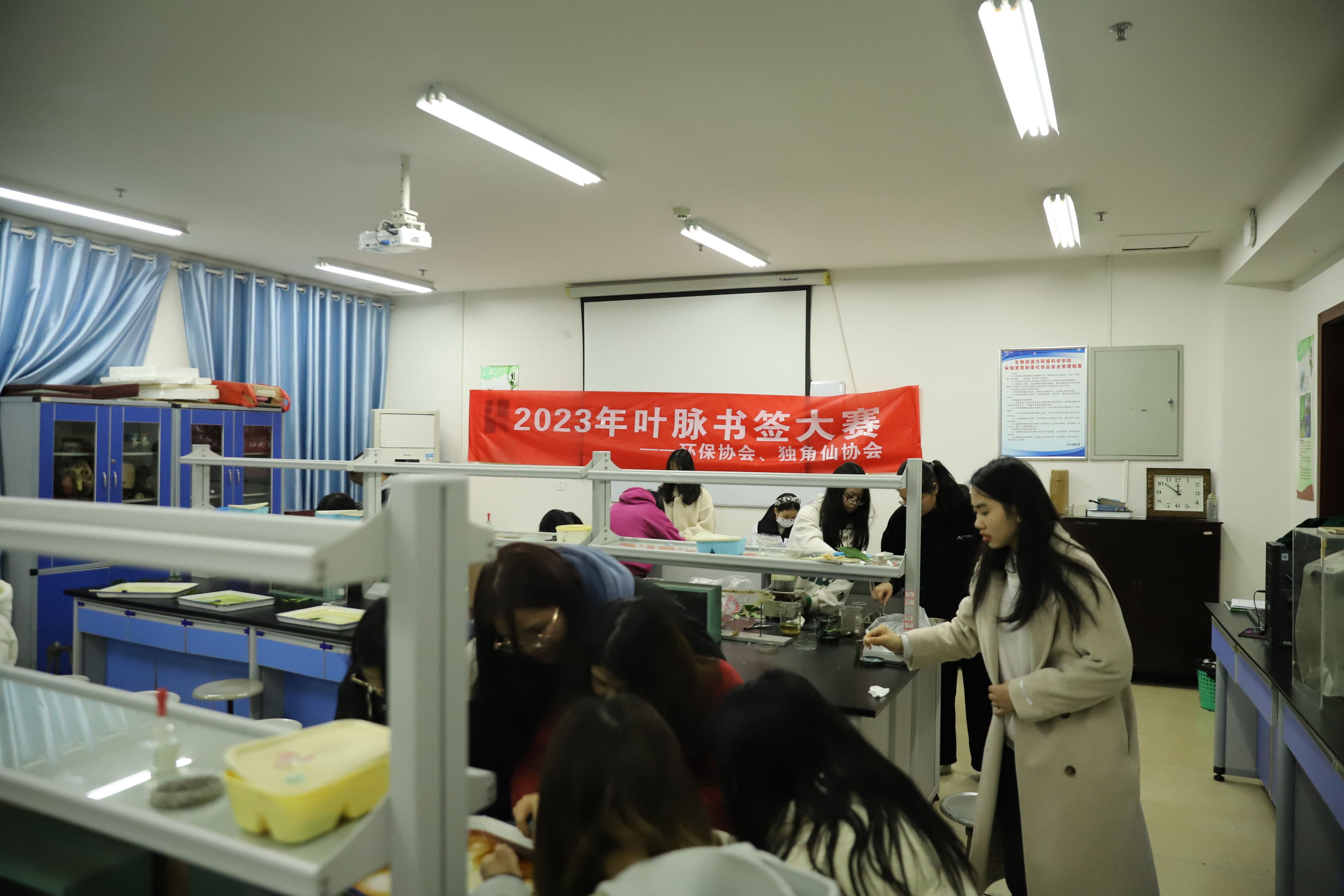 mk体育官网