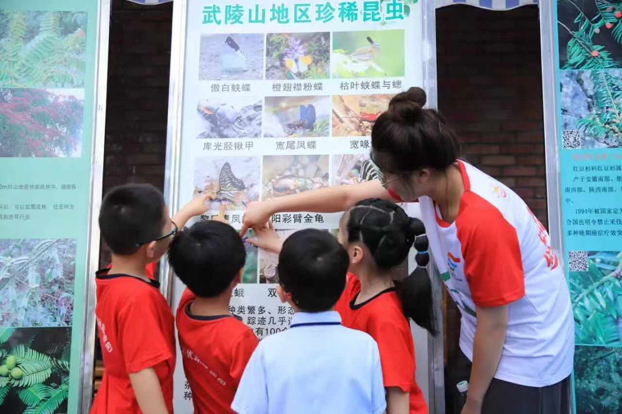 mk体育官网