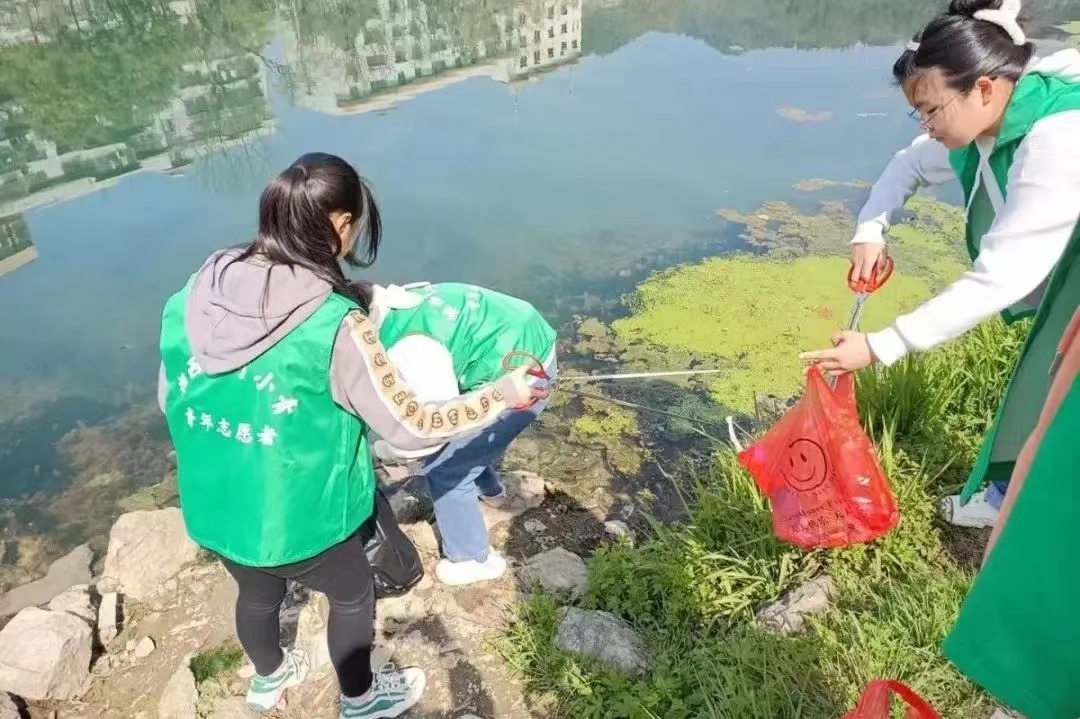 mk体育官网