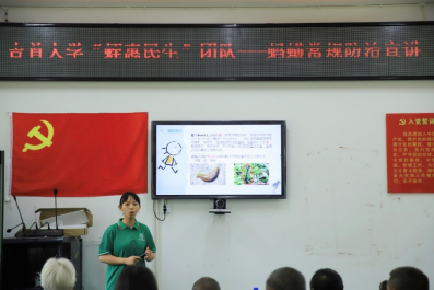 mk体育官网