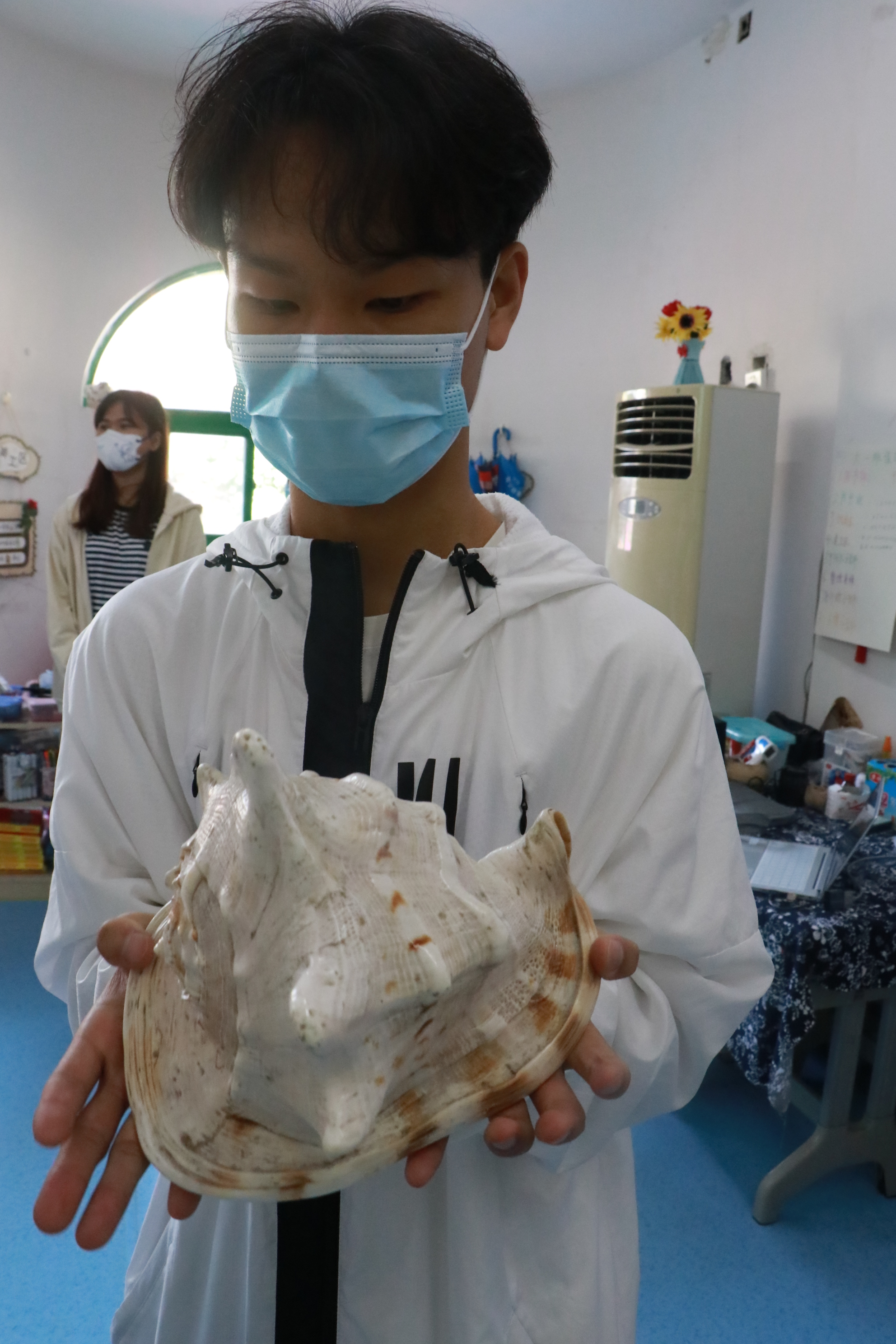 mk体育官网