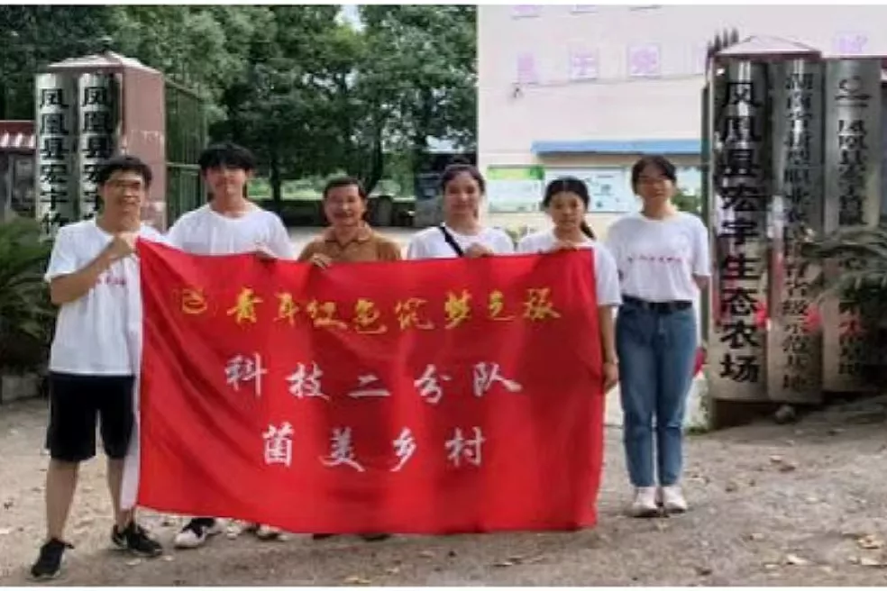 mk体育官网